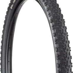 Teravail Rutland Light & Supple Tire - 29